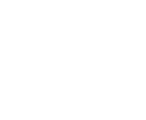 Yiyicaru